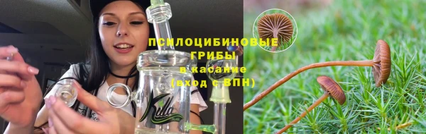 прущая мука Магас