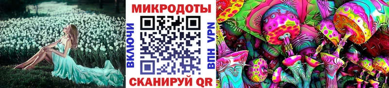 Псилоцибиновые грибы мицелий купить наркоту Заволжск